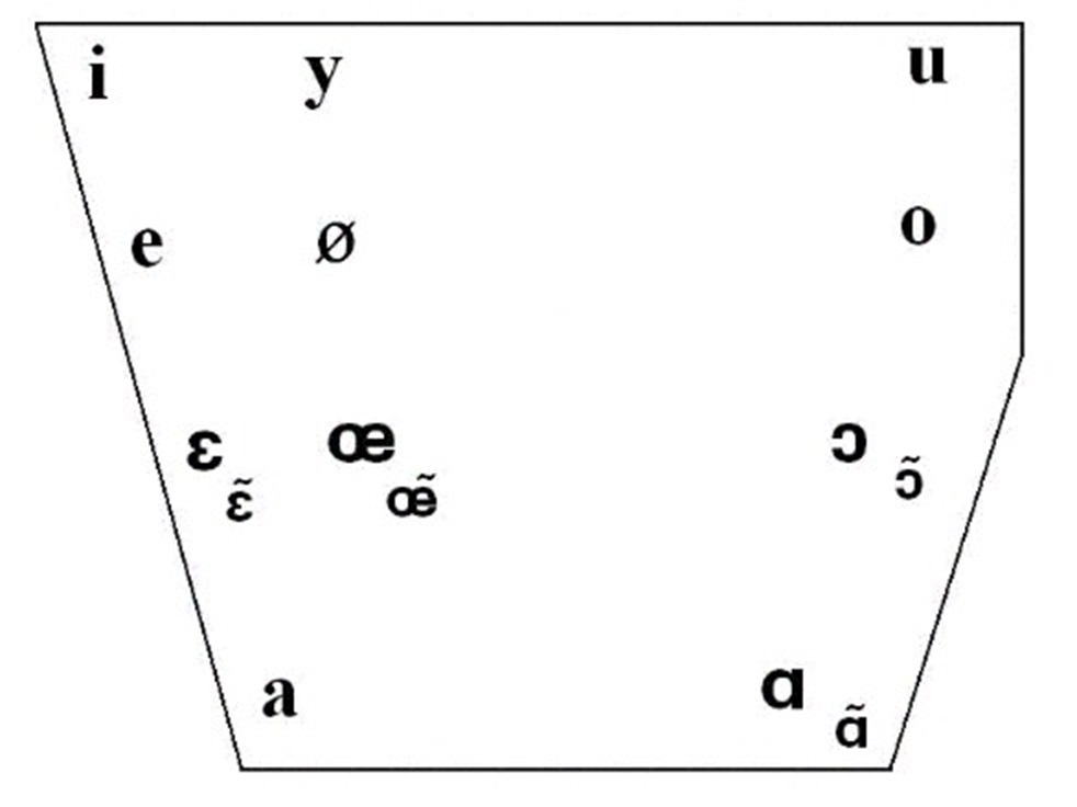 Le tableau des trapeze vocalique